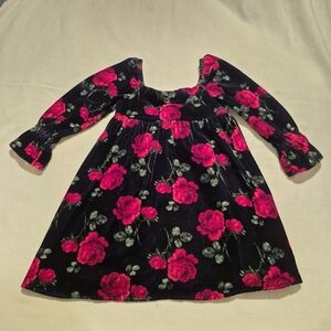 Janie and Jack girls size 4 dress marine rose print velvet EUC